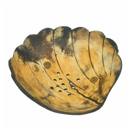 Seifenschale Muschel aus echter Kokosnuss